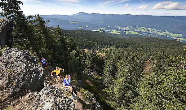 Trailcamp im Lamer Winkel 2020